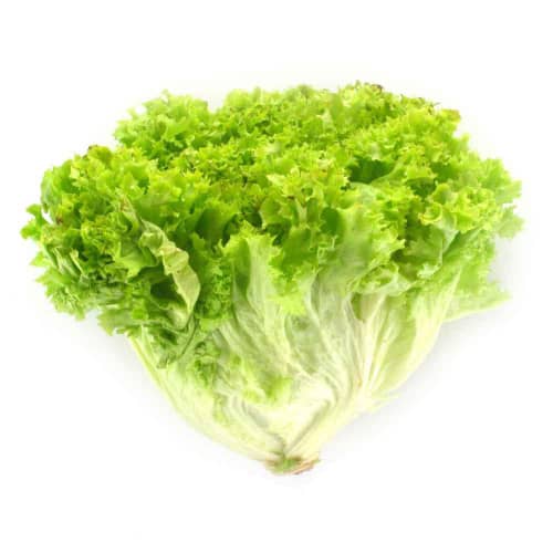 Купить Салат Лолло Бионда 0,5 г по низкой цене