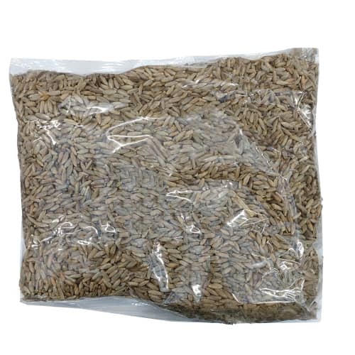 Купить Рожь озимая Валдай0,5 кг по низкой цене