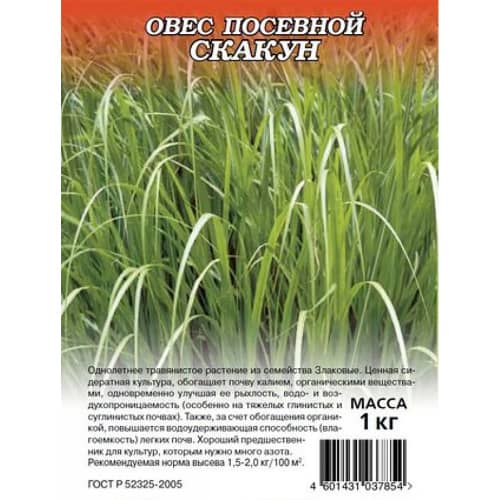 Купить Овес посевной Скакун 1 кг по низкой цене