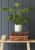кашпо керамическое, l tuscany grey indoor pots collection burgon & ball Купить Кашпо керамическое, L Tuscany Grey Indoor Pots Collection Burgon & Ball по низкой цене