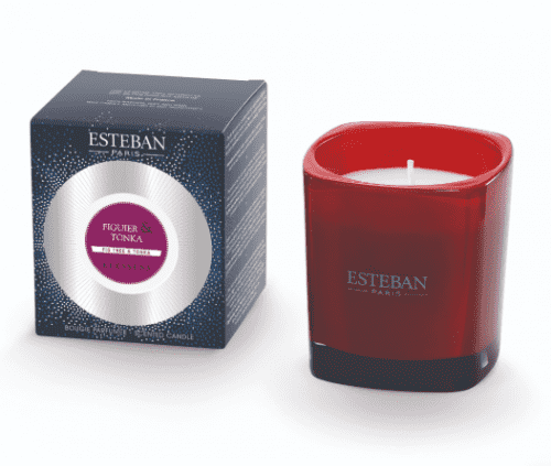 Купить Арома-свеча ESTEBAN Paris Parfums Инжир и Тонка, 170 г по низкой цене