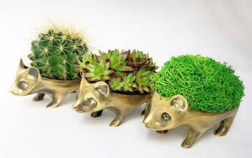 Купить Горшок BOXSAND Ежик по низкой цене