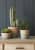 Купить Кашпо из терракоты, M Indoor Pots Collection Burgon & Ball по низкой цене