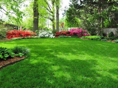 Купить Газон Газонные традиции универсальный рулонный 2 м по низкой цене