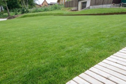 Купить Газон Газонные традиции стандартный рулонный 2 м по низкой цене