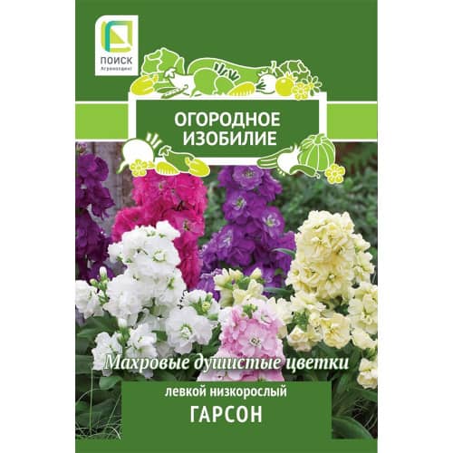 Купить Левкой низкорослый Гарсон по низкой цене