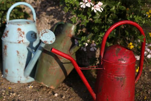 Купить Лейка Esschert Design Vintage Red для цветов, 4,7 л по низкой цене