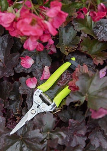 Купить Ножницы садовые флуоресцентные Florabrite Burgon & Ball по низкой цене
