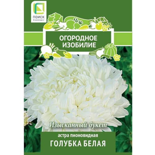Купить Астра пионовидная Голубка белая по низкой цене