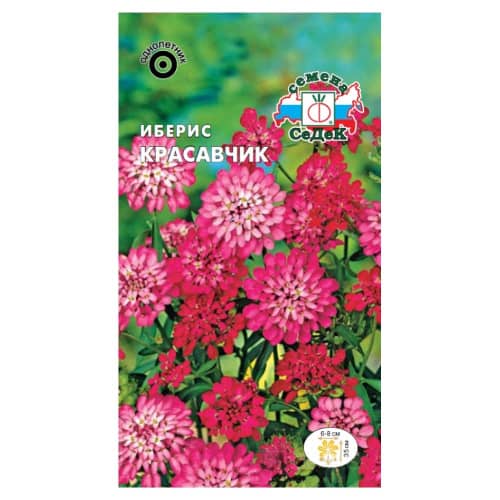 Купить Иберис Красавчик 0,2 г Седек по низкой цене