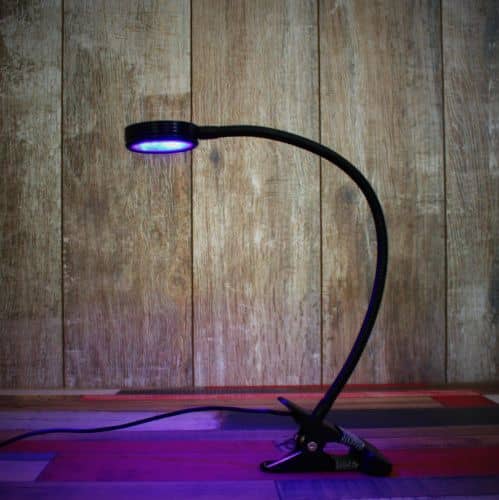 Купить Фитосветильник Luxury Plants LED светодиодный, 6 Вт по низкой цене