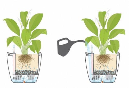 Купить Кашпо Lechuza Quadro LS 28 см по низкой цене