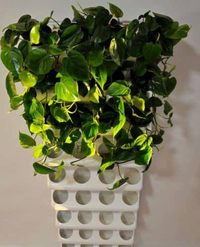 Купить Вертикальный сад BOXSAND белый 60х60 см, 1 секция по низкой цене