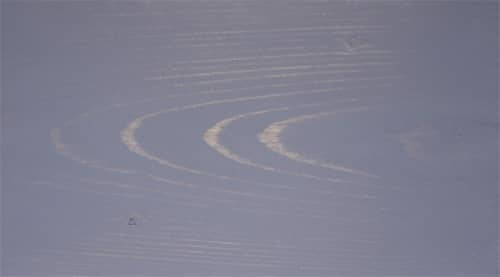 Купить Масло DECKEN ColorFasad Oil темно-серое для древесины по низкой цене