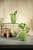 ваза burgon & ball s кактус indoor pots керамическая Купить Ваза Burgon & Ball S Кактус Indoor Pots керамическая по низкой цене