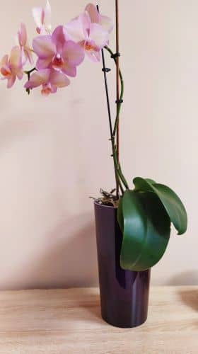 Купить Кашпо ГарденПласт со вставкой ЛАВАНДА PS, 1,5 л по низкой цене