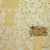 ткань galleria arben exclusive tre grazie 123 beige Купить Ткань Galleria Arben Exclusive TRE GRAZIE 123 BEIGE по низкой цене