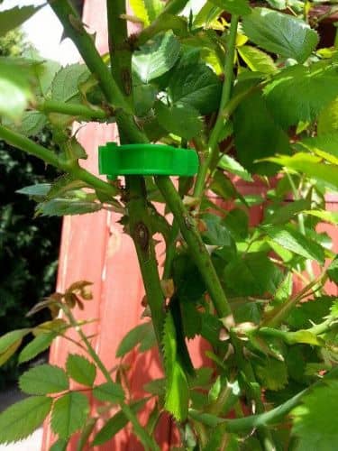 Купить Клипсы ГарденПласт для крепления растений 20 шт по низкой цене