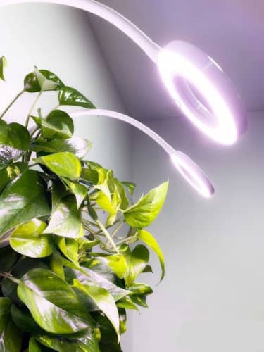 Купить Вертикальный сад BOXSAND 12 с подсветкой белый 60х65 см по низкой цене