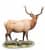 статуэтка veronese лось ws-846 Купить Статуэтка Veronese Лось WS-846 по низкой цене