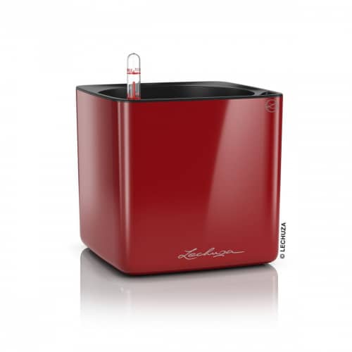 Купить Кашпо Lechuza Cube Glossy Complete scarlet red high gloss 17x17x16 см по низкой цене
