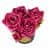 Купить Букет Cote Noire Five Rose Carmine Red из 5 роз ароматический в подарочной упаковке по низкой цене