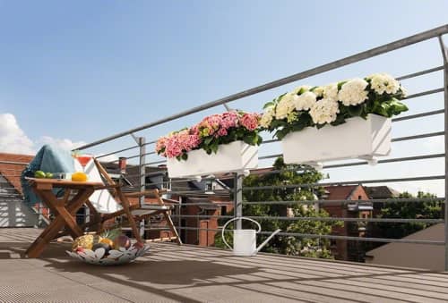 Купить Кашпо Lechuza Balconera Color 80 см по низкой цене