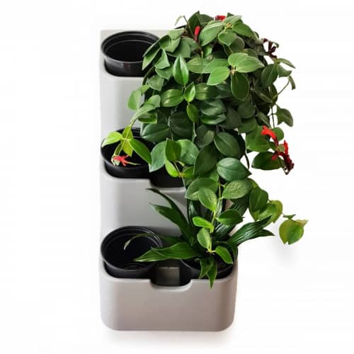 Купить Вертикальный сад BOXSAND-6 для вертикального озеленения серый 30х65 см по низкой цене