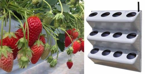 Купить Вертикальная грядка BOXSAND для клубники 60х60 см по низкой цене