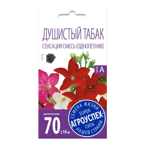 Купить Душистый табак Сенсация 0,1 г смесь по низкой цене