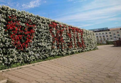 Купить Вертикальный сад BOXSAND озеленение города по низкой цене