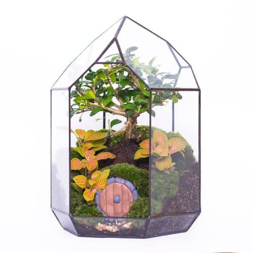 Купить Флорариум Levitera Хоббитон по низкой цене