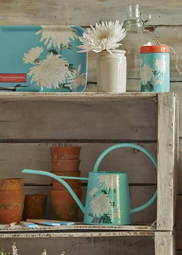 Купить Лейка для комнатных растений Chrysanthemum Collection Burgon & Ball по низкой цене
