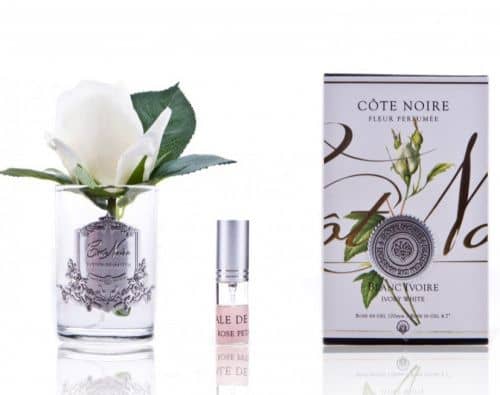 Купить Букет Cote Noire Бутон розы Ivory ароматический, прозрачное стекло по низкой цене