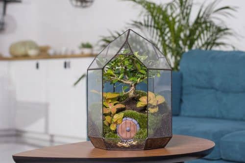 Купить Флорариум Levitera Хоббитон по низкой цене