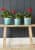 Купить Кашпо керамическое, L Tuscany Blue Indoor Pots Collection Burgon & Ball по низкой цене