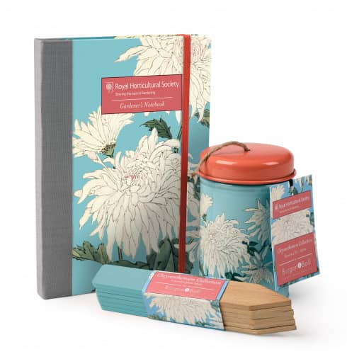 Купить Шпагат Burgon & Ball Chrysanthemum джутовый для букетов, в декоративном контейнере по низкой цене
