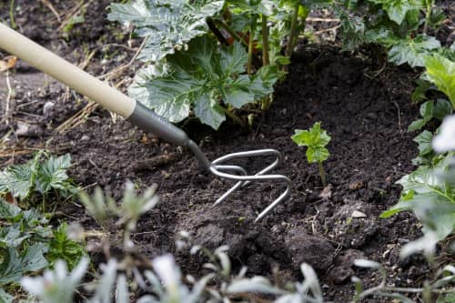 Купить Культиватор Burgon & Ball трехзубцовый на длинной ручке по низкой цене