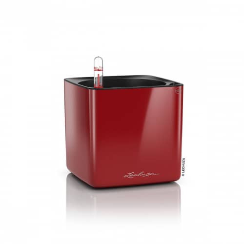 Купить Кашпо Lechuza Cube Glossy Complete scarlet red high gloss 14x14x14 см по низкой цене