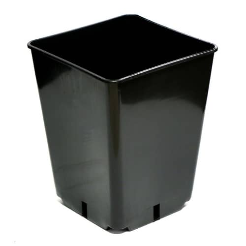 Купить Горшок пластиковый технологический черный 16х16 см 3,5 л для туб по низкой цене