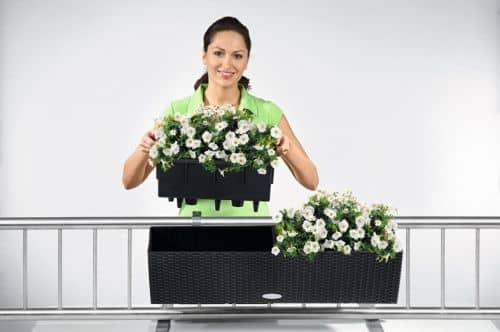 Купить Кашпо Lechuza Balconera Cottage 80 см по низкой цене