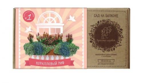 Купить Умная клумба Красота садовая для балкона №1 Коралловый риф (готовое решение) по низкой цене