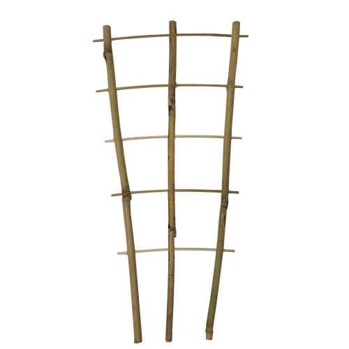 Купить Опора для растений бамбук Высотка 24х45,5 см по низкой цене