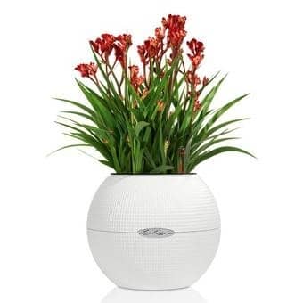 Купить Кашпо Lechuza Puro Color 50 см по низкой цене