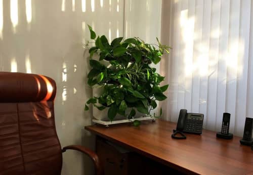 Купить Вертикальный сад BOXSAND 12 50х58 см по низкой цене