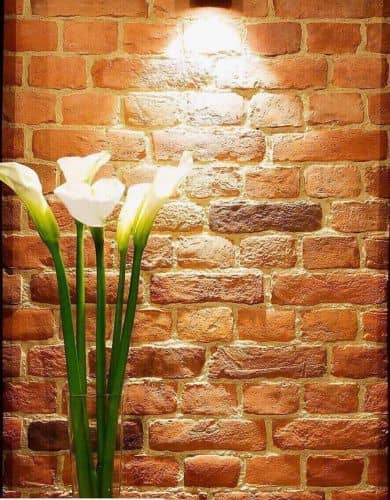 Купить Плитка Петровская мануфактура Ижора под кирпич по низкой цене