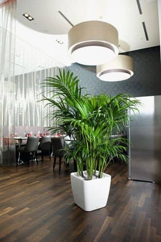 Купить Кашпо Lechuza Quadro LS 28 см по низкой цене