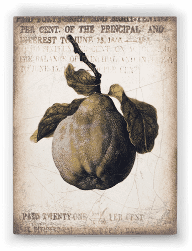 Купить Панно Sid Dickens Ancient Pear 430 дизайнерское, 15х20х3 см по низкой цене