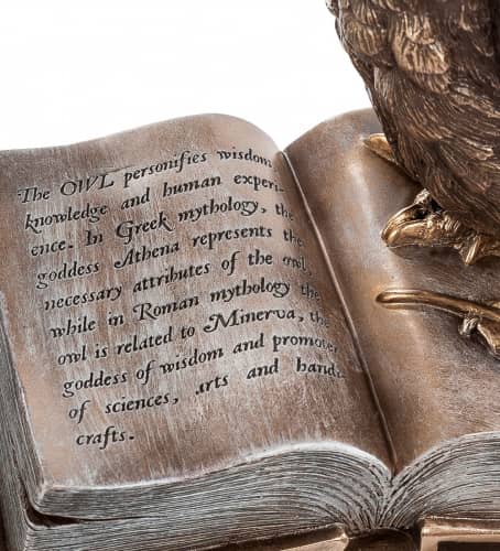 Купить Статуэтка Veronese Сова на книгах WS-86/1 по низкой цене