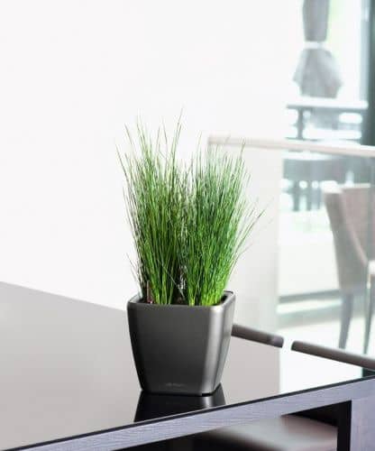 Купить Кашпо Lechuza Quadro LS 28 см по низкой цене